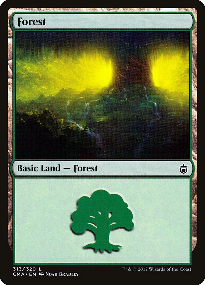 Forest (313)