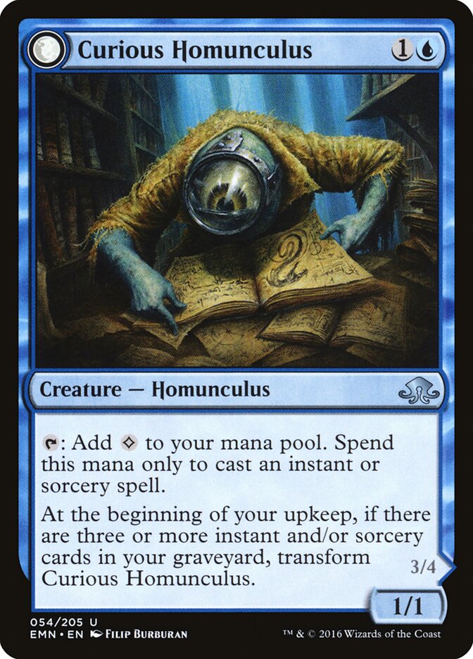 Curious Homunculus