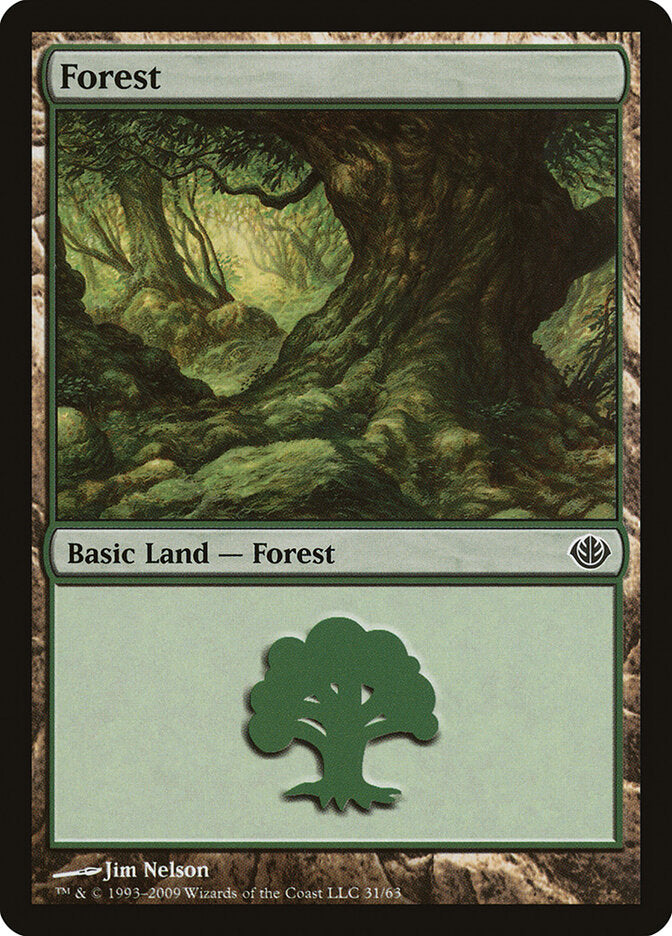 Forest (31)