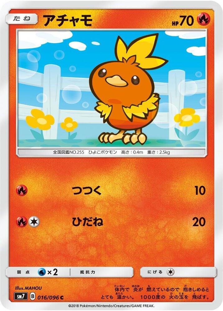 Torchic - 016/096
