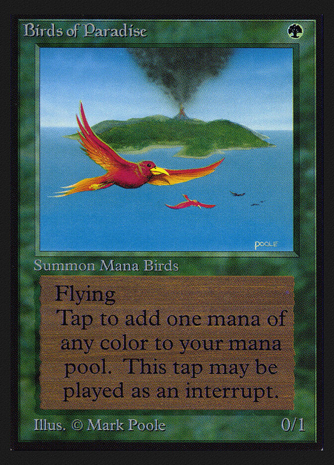 Birds of Paradise (CE)