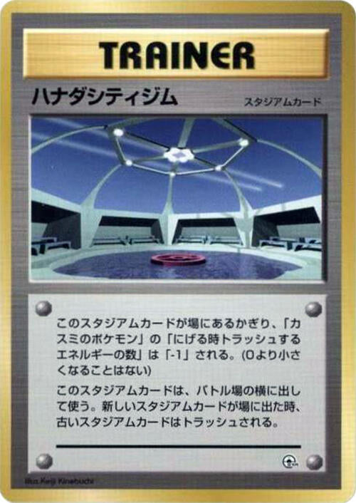 Cerulean City Gym