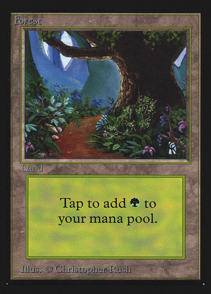 Forest (B) (CE)
