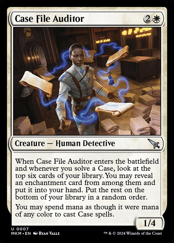 Case File Auditor (a)