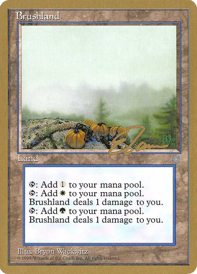 Brushland - 1996 Eric Tam (ICE)
