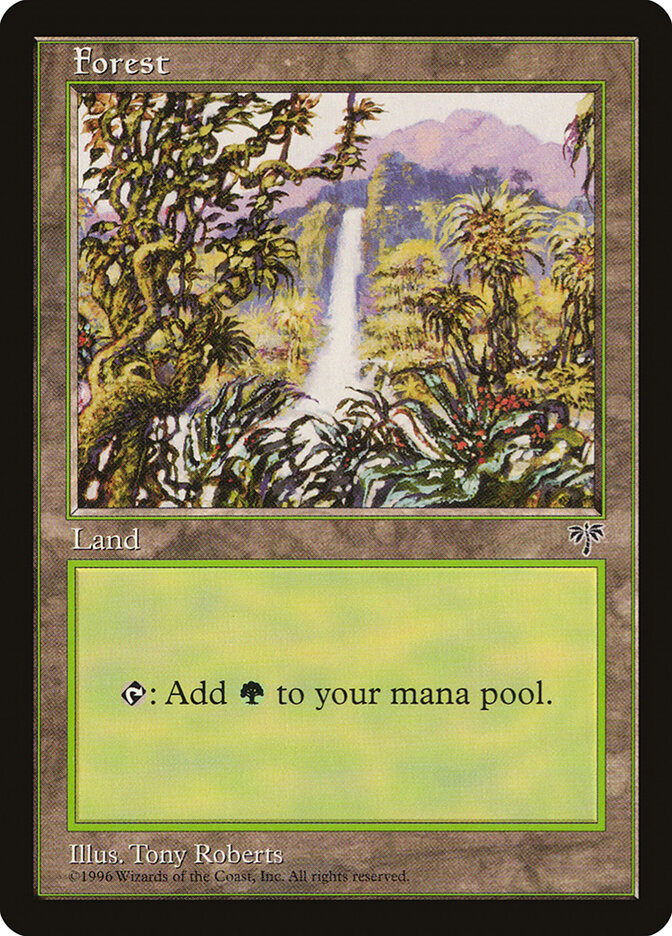 Forest (Waterfall)