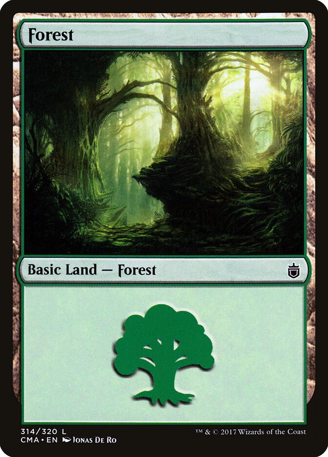 Forest (314)